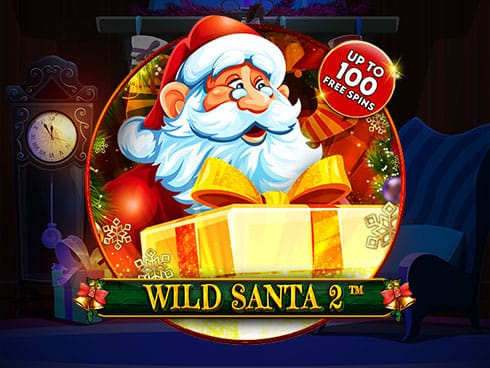 وائلڈ سانٹا 2 game icon
